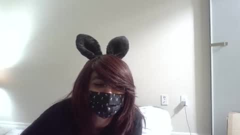 twinkyteddy online show from October 8, 2025, 10:07 pm