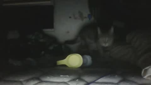 twonkydonk27 online show from December 13, 2025, 10:15 pm