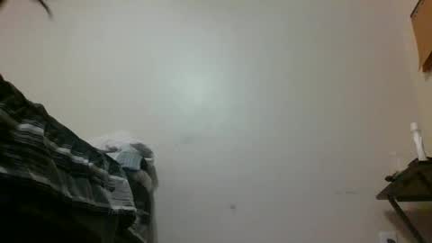 txbigd131369 online show from January 29, 2025, 1:16 am