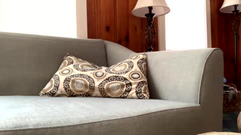 Tyler Sands online show from February 11, 2025, 2:46 pm