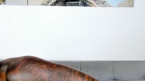 Snapshot of tyron_rulers chatting on November 7, 2025, 12:32 am Dvid Rullers online show from November 7, 2025, 12:32 am