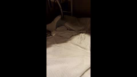 Snapshot of ucansitonit chatting on March 15, 2026, 1:28 pm ucansitonit online show from March 15, 2026, 1:28 pm