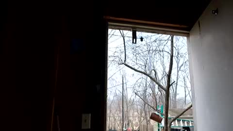 upforanything27 online show from December 25, 2024, 6:41 pm