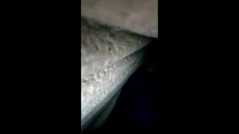 urdleqfaeaxf online show from April 28, 2026, 4:12 pm