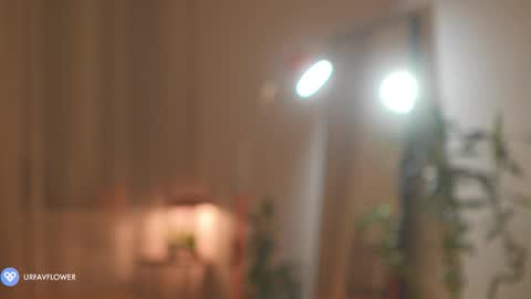 Aleksandra online show from November 9, 2025, 7:12 pm