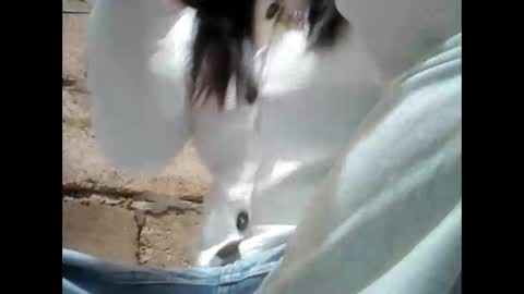 Snapshot of urpinaymorena chatting on November 25, 2025, 8:36 am Aleah online show from November 25, 2025, 8:36 am