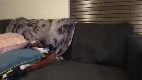 Urwivesaffair online show from October 12, 2025, 1:54 pm