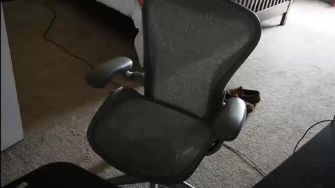 v_for_veng online show from February 23, 2026, 5:54 pm