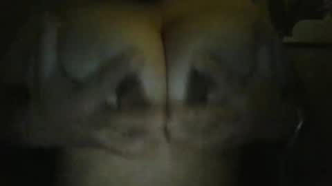 bigcat online show from June 3, 2026, 6:38 am