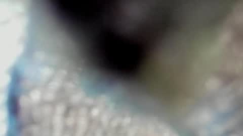 valeri_tafur online show from October 13, 2025, 10:59 am