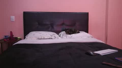 Vamp Noah and Dan online show from February 11, 2026, 1:49 pm