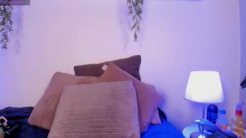 vamp  online show from November 24, 2025, 10:42 pm