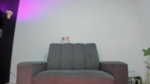 Snapshot of vandalovee chatting on May 25, 2026, 9:48 am Babi Alu online show from May 25, 2026, 9:48 am