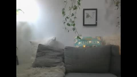 vanessa__foxx online show from December 24, 2024, 8:55 am