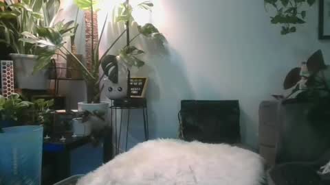 vanessa__foxx online show from February 17, 2025, 11:55 am