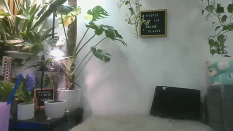 vanessa__foxx online show from March 1, 2025, 4:22 pm