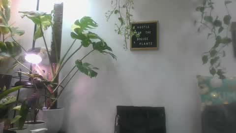vanessa__foxx online show from March 5, 2025, 5:07 am