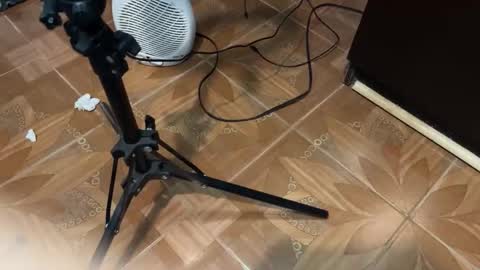 Geovani Agustin Garcia online show from February 5, 2026, 6:07 am