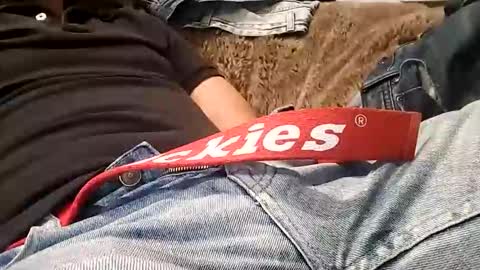 Snapshot of vanyllaice chatting on January 18, 2026, 2:48 am Vanyllaice online show from January 18, 2026, 2:48 am