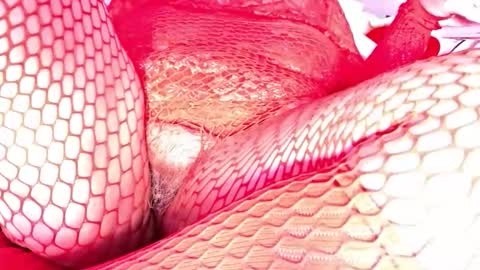 Vehe Veun online show from December 18, 2025, 7:20 pm