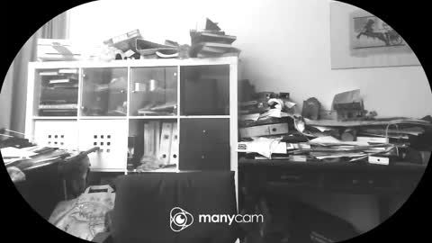 Snapshot of vejun2025 chatting on September 11, 2025, 7:47 pm vejun2025 online show from September 11, 2025, 7:47 pm