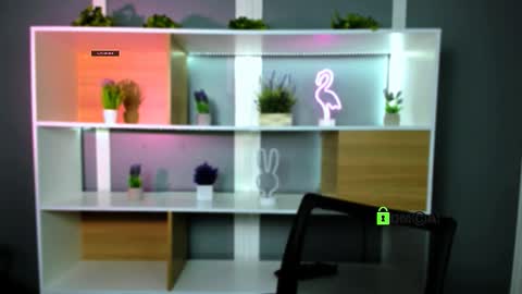 veldi_to online show from February 2, 2026, 7:34 pm