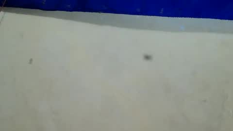 velvet online show from December 12, 2024, 8:25 am