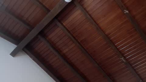 Venus Evans online show from February 4, 2025, 3:54 am