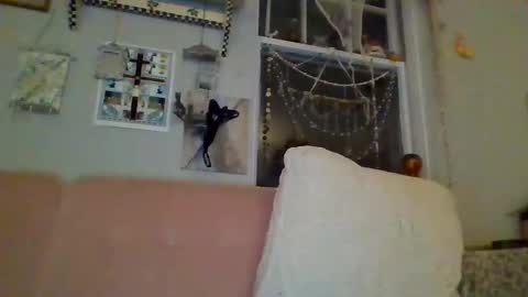 venuskisth online show from January 9, 2025, 8:13 am