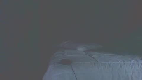 vergagolosa22 online show from November 20, 2025, 7:02 pm