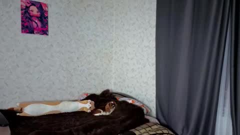 Veronica online show from March 4, 2026, 9:10 pm