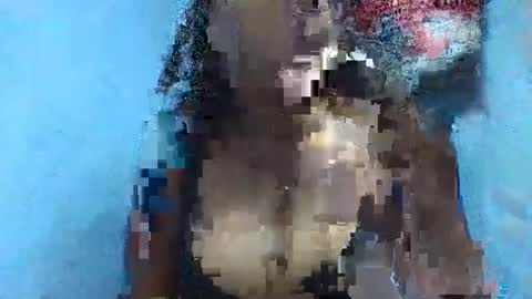 verolla31 online show from February 2, 2025, 8:08 pm