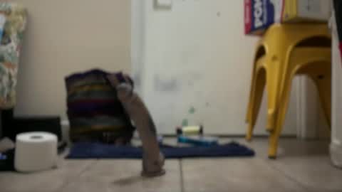 Snapshot of verona365 chatting on September 22, 2025, 2:02 am Hmartinez365 online show from September 22, 2025, 2:02 am