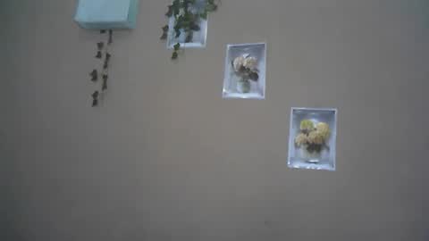 verronique1511 online show from April 22, 2026, 4:04 am