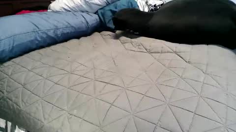 Vexnew online show from November 4, 2025, 6:51 pm