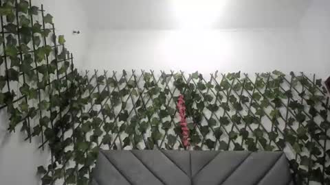 Snapshot of vfridaper chatting on November 26, 2025, 12:00 am Frida online show from November 26, 2025, 12:00 am