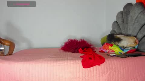 Snapshot of vicky_hotteei chatting on May 1, 2026, 8:30 am vicky manuela online show from May 1, 2026, 8:30 am