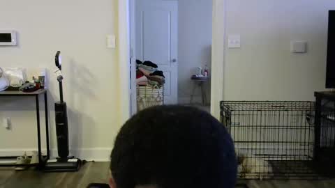 victoryd007 online show from January 16, 2025, 9:30 pm