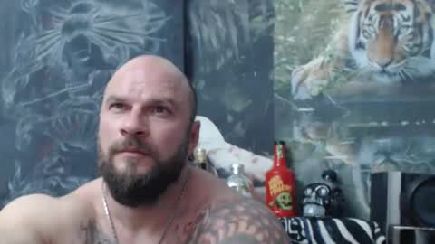 viking online show from April 17, 2026, 6:11 pm