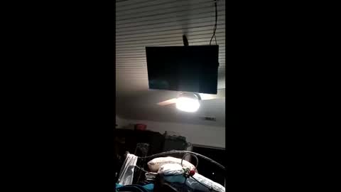 vinipussplzer online show from January 19, 2026, 7:45 am