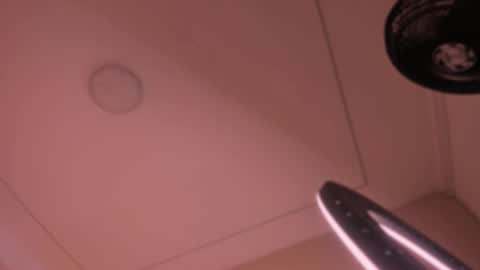 Violeta  online show from October 15, 2025, 10:59 am