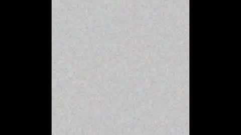 VIOLETA AND MAXX online show from November 3, 2025, 8:43 pm