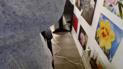 Snapshot of vixenfyre chatting on December 12, 2024, 5:59 pm Vixen Fyre online show from December 12, 2024, 5:59 pm