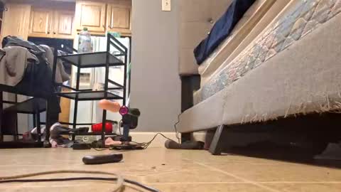 Vix online show from February 14, 2025, 7:28 am