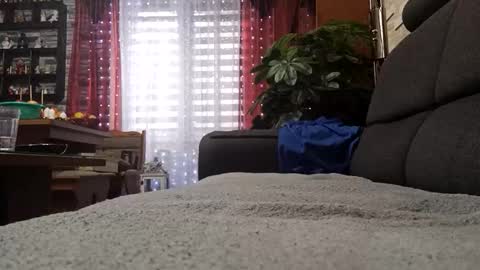 vlami69 online show from November 30, 2025, 8:40 am