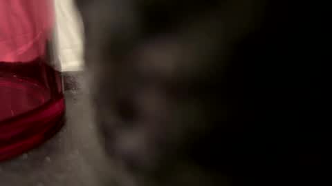 John online show from December 22, 2024, 5:21 pm