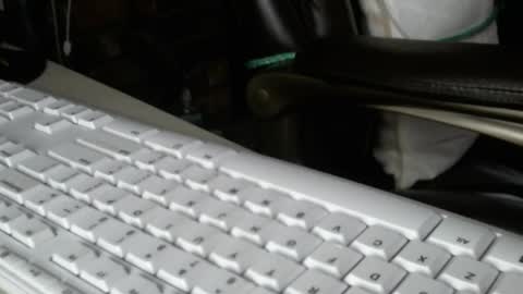 Snapshot of vnpg92 chatting on December 13, 2025, 8:14 pm vnpg92 online show from December 13, 2025, 8:14 pm