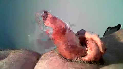 Snapshot of vukavuka99 chatting on December 17, 2024, 9:16 pm vukavuka99 online show from December 17, 2024, 9:16 pm