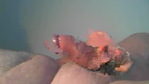 Snapshot of vukavuka99 chatting on October 26, 2025, 9:53 pm vukavuka99 online show from October 26, 2025, 9:53 pm