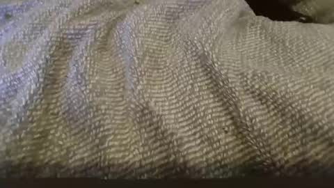 Snapshot of vwelad6969 chatting on February 1, 2025, 2:34 pm hung boy online show from February 1, 2025, 2:34 pm